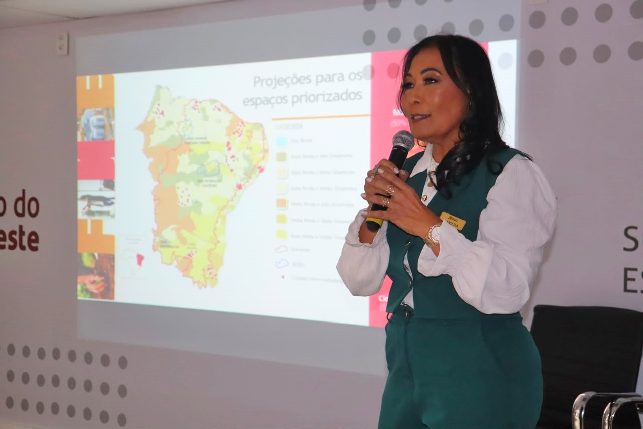 A gerente de desenvolvimento territorial do Banco do Nordeste na Bahia Marilda Galindo apresentou a proposta de distribuição dos recursos na tarde de hoje em Salvador Crédito ASCOM BNB Bahia