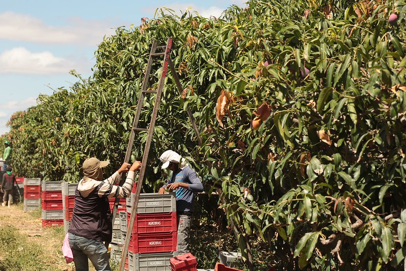 Em até o momento o Agroamigo já contratou aproximadamente R bilhões em mais de mil operações FOTO Tibico Brasil